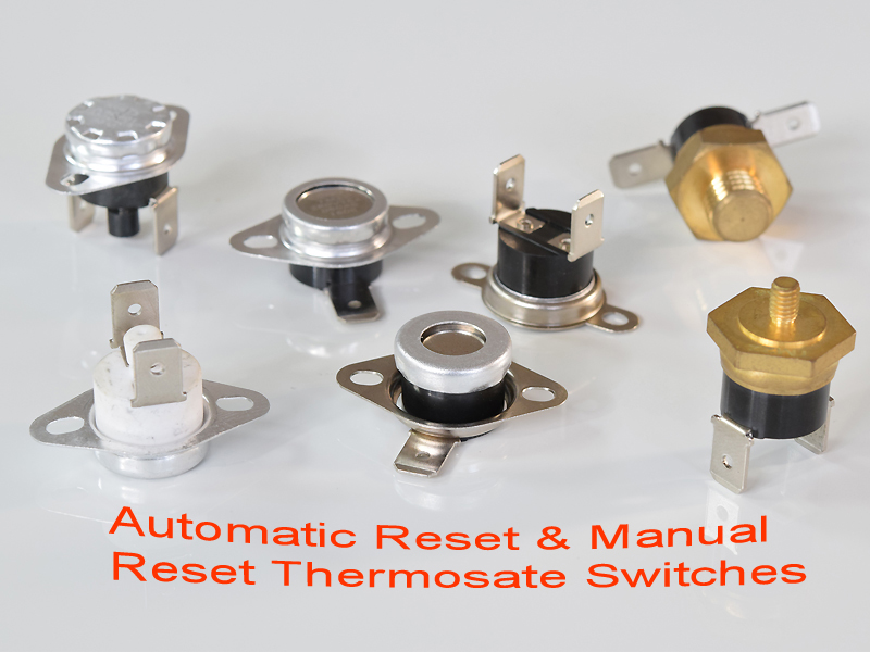 Thermostat Switches